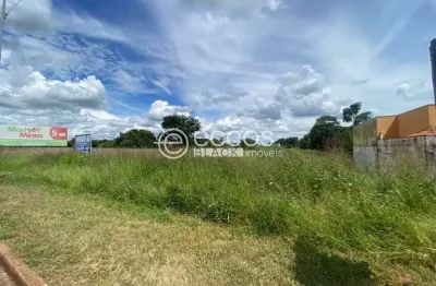 Terreno comercial à venda na Rua Cário Batista Beirigo, 339, Chácaras Vila Real, Uberaba