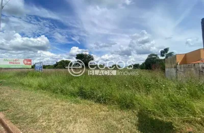 Terreno comercial à venda na Rua Cário Batista Beirigo, 339, Chácaras Vila Real, Uberaba