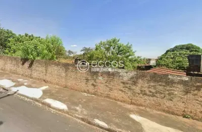 Terreno comercial à venda na Rua Rosa Manzan, 1074, Fabrício, Uberaba
