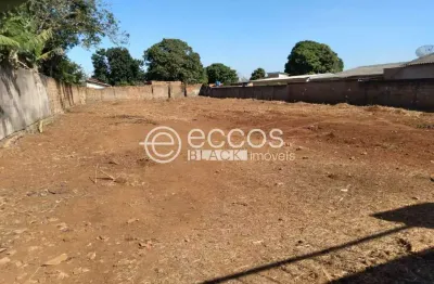 Terreno comercial à venda na Rua Rosa Manzan, 71, Fabrício, Uberaba