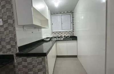 Apartamento para aluguel, 1 quarto, 1 vaga, centro - araguari/mg