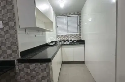 Apartamento para aluguel, 1 quarto, 1 vaga, centro - araguari/mg