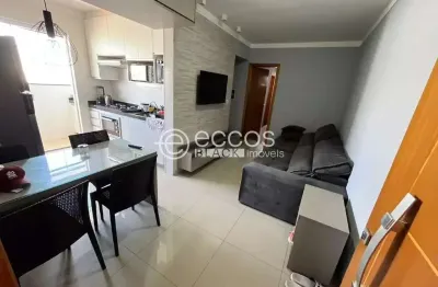 Apartamento para aluguel, 2 quartos, 1 suíte, 1 vaga, brasil - uberlândia/mg