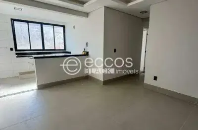 Apartamento à venda, 2 quartos, 1 suíte, 2 vagas, santa mônica - uberlândia/mg