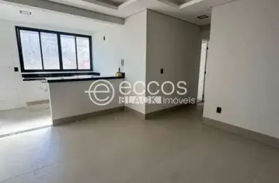 Apartamento à venda, 2 quartos, 1 suíte, 2 vagas, santa mônica - uberlândia/mg