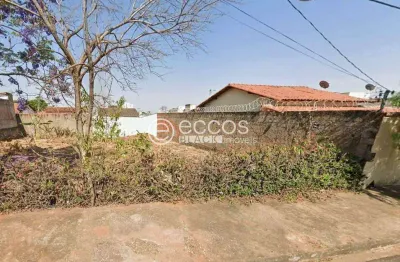 Terreno comercial à venda na Rua Herbario, 78, Jardim Botânico, Uberlândia