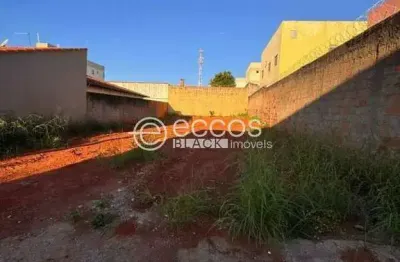 Terreno comercial à venda na Rua José Rodrigues Queiroz Filho, 89, Santa Mônica, Uberlândia
