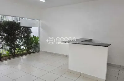 Imóvel comercial para aluguel, vigilato pereira - uberlândia/mg