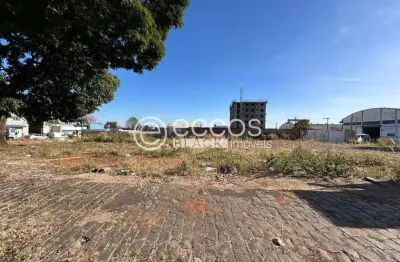 Terreno comercial à venda na Rua Paris, 109, Tibery, Uberlândia