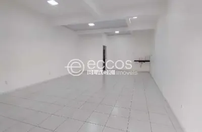 Imóvel comercial para aluguel, jardim holanda - uberlândia/mg