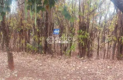 Terreno em condomínio à venda, jockey park - uberaba/mg