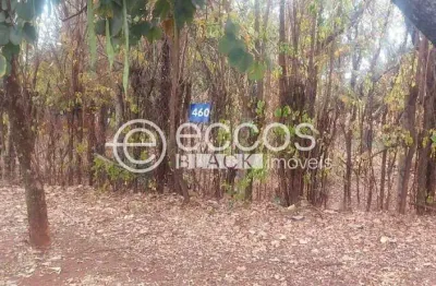Terreno em condomínio fechado à venda na Avenida Palmira Vanucci, 414, Jockey Park, Uberaba