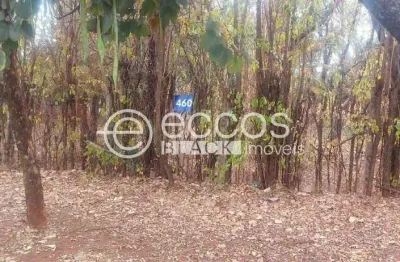 Terreno em condomínio fechado à venda na Avenida Palmira Vanucci, Jockey Park, Uberaba