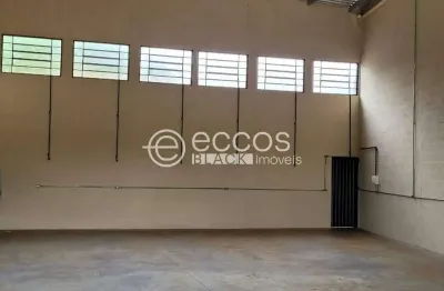 Barracão para aluguel, 1 quarto, dona zulmira - uberlândia/mg