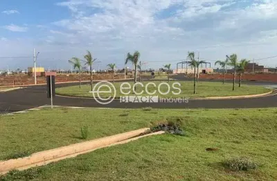 Terreno comercial à venda na Rua Alfredo Bosi, 110, Novo Mundo, Uberlândia