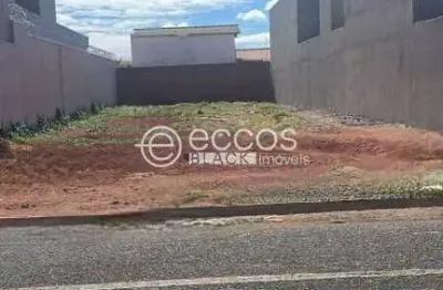Terreno comercial à venda na Rua Hermogênio Dorázio, 66, Interlagos, Araguari