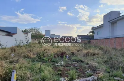 Terreno comercial à venda na Rua Amaral Coutinho, 85, Minas Gerais, Uberlândia