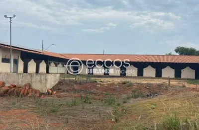 Terreno comercial à venda na Avenida Teodoreto Veloso de Carvalho, 1063, Paineiras, Araguari