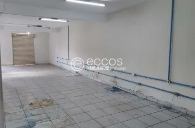 Casa comercial à venda na Avenida Vinicius de Moraes, 206, Santa Rosa, Uberlândia