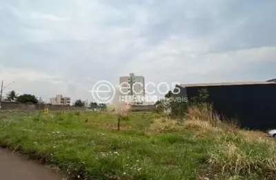 Terreno comercial à venda na Avenida Anselmo Alves dos Santos, 65, Conjunto Segismundo Pereira, Uberlândia