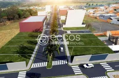 Terreno comercial à venda na Rua São Luiz, 88, Jardim Milenium, Araguari