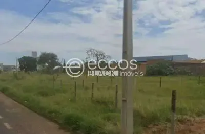 Terreno comercial à venda na Avenida Ministro Homero Santos, 106, Shopping Park, Uberlândia