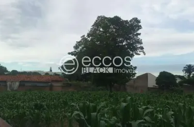 Terreno comercial à venda na Rua Jornalista João Lourenço, 161, Centro, Araguari