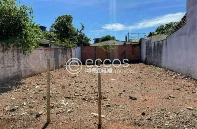 Terreno comercial à venda na Rua Particular Tupis, 115, Vigilato Pereira, Uberlândia