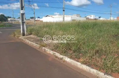 Terreno comercial à venda na L24 Q14, 86, Sibipiruna, Araguari