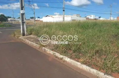 Terreno comercial à venda na L24 Q14, 86, Sibipiruna, Araguari