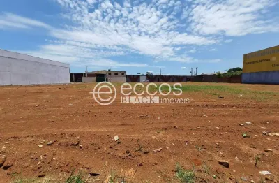 Terreno comercial à venda na Rua Professor Mário Godoy, 85, Santa Mônica, Uberlândia