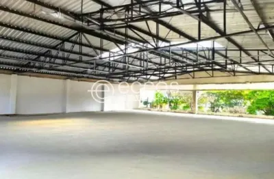 Imóvel comercial para aluguel, daniel fonseca - uberlândia/mg