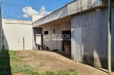 Barracão à venda, 1 quarto, 1 suíte, lagoinha - uberlândia/mg