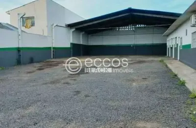 Imóvel comercial para aluguel, nossa senhora das graças - uberlândia/mg