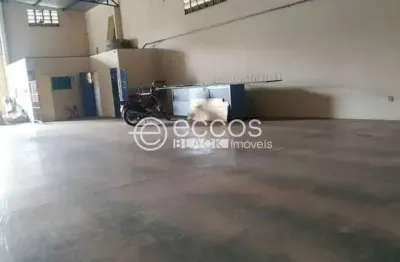 Barracão para aluguel, 1 quarto, minas gerais - uberlândia/mg