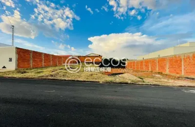 Terreno comercial à venda na Rua Antônio Rocha, 96, Interlagos, Araguari