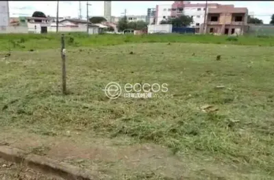 Terreno comercial à venda na Avenida Doutor Vicente Salles Guimarães, 418, Alto Umuarama, Uberlândia