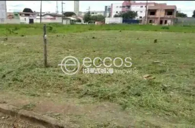 Terreno comercial à venda na Avenida Doutor Vicente Salles Guimarães, 418, Alto Umuarama, Uberlândia