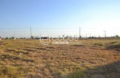 Terreno comercial à venda na Avenida Multicor, 82, Alto Umuarama, Uberlândia