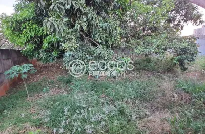 Terreno comercial à venda na Rua Aniceto Pereira, 515, Tubalina, Uberlândia