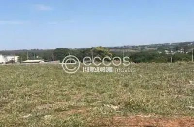 Terreno comercial à venda na Rua Renato Borges de Oliveira, 84, Shopping Park, Uberlândia