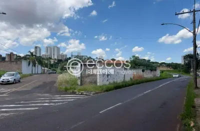 Terreno comercial à venda na Rua Riachuelo, 88, Tubalina, Uberlândia