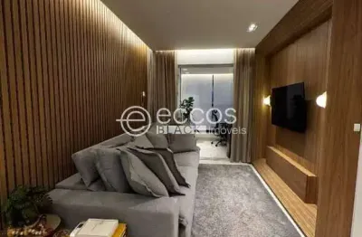 Apartamento à venda, 2 quartos, 1 suíte, 2 vagas, patrimônio - uberlândia/mg