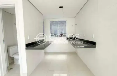 Apartamento à venda, 2 quartos, 2 suítes, 2 vagas, vila paris - belo horizonte/mg