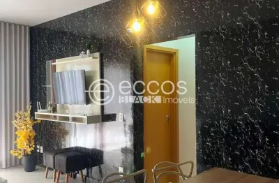 Apartamento para aluguel, 2 quartos, 1 suíte, 2 vagas, umuarama - uberlândia/mg