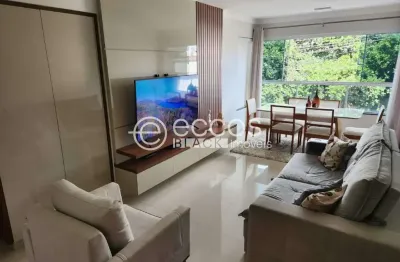Apartamento à venda, 3 quartos, 2 suítes, 2 vagas, santa mônica - uberlândia/mg