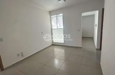 Apartamento para aluguel, 2 quartos, 1 suíte, 1 vaga, bosque - araguari/mg