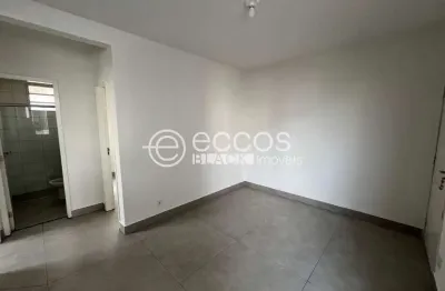Apartamento para aluguel, 2 quartos, 1 vaga, shopping park - uberlândia/mg