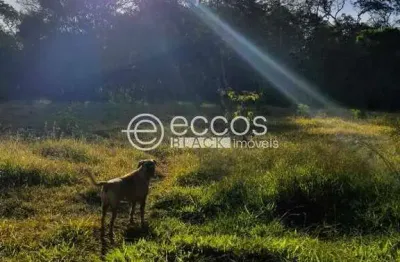 Chácara / sítio com 3 quartos à venda na Área Rural, 77, Área Rural de Uberaba, Uberaba