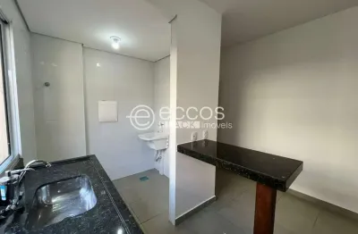 Apartamento para aluguel, 2 quartos, 2 suítes, 1 vaga, santa mônica - uberlândia/mg